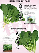 きよすみ