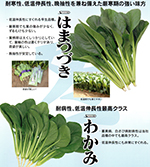 写真の説明